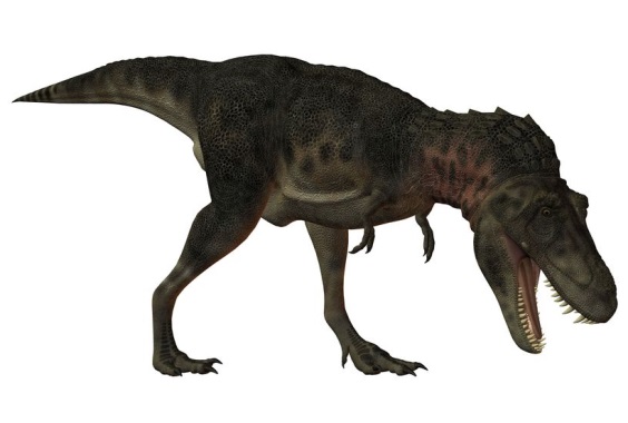 タルボサウルスの画像