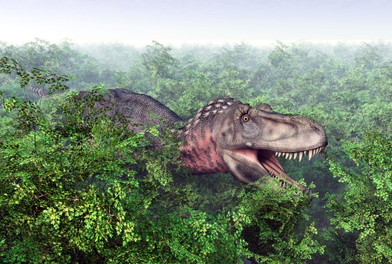 タルボサウルスの画像2