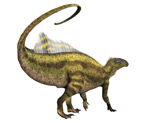 テノントサウルスの画像