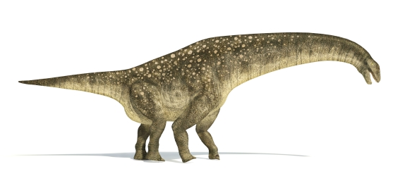 ティタノサウルスの画像