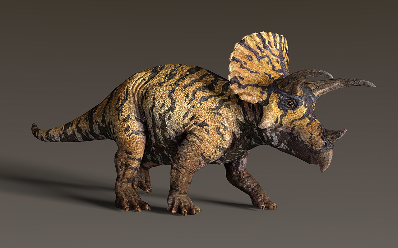 トリケラトプス Triceratops 恐竜図鑑