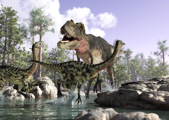 ティラノサウルスの画像2