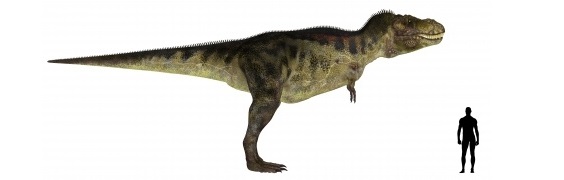 ティラノサウルスと人